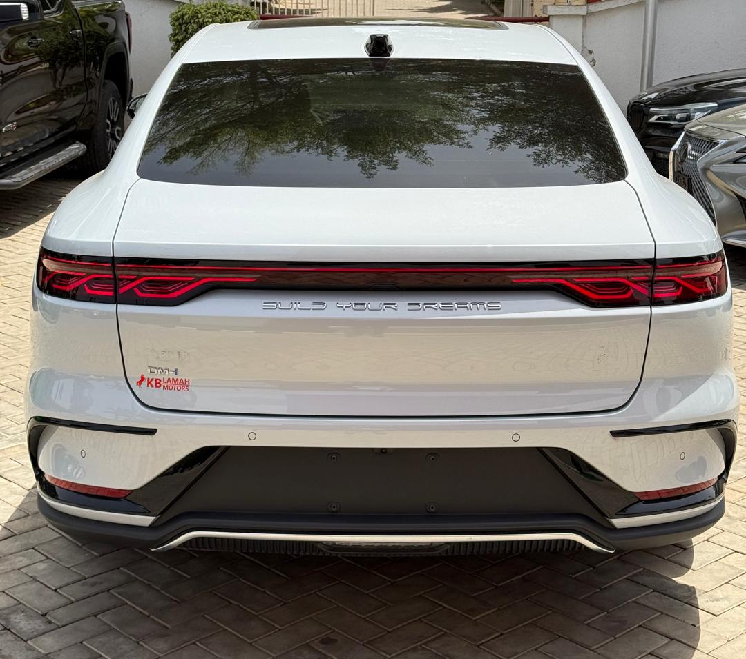BYD DMI (PLUGGED IN-HYBRID) 2025 — photo 12 of 12